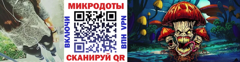 наркошоп  Нестеровская  Галлюциногенные грибы Psilocybine cubensis 