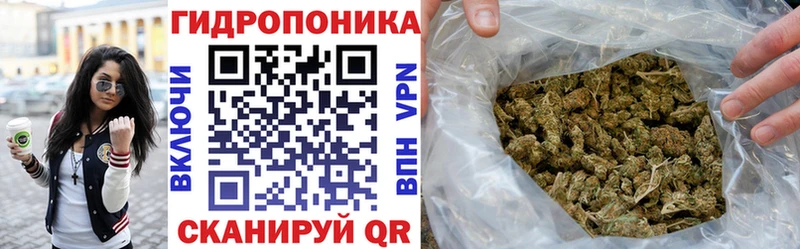 как найти наркотики  Нестеровская  Канабис Ganja 